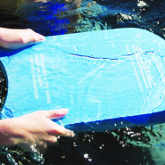 Доска для плавания SPRINT MINITeam Kickboard синий 38 см 690
